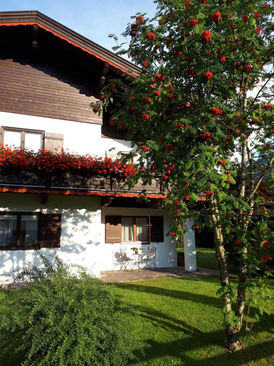 Апартаменты Haus Slechta Кицбюэль Экстерьер фото